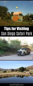 tips for visiting san diego safari park