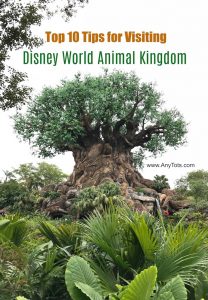 Tips for Visiting Disney World Animal Kingdom