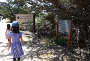17 Mile Drive Attractions