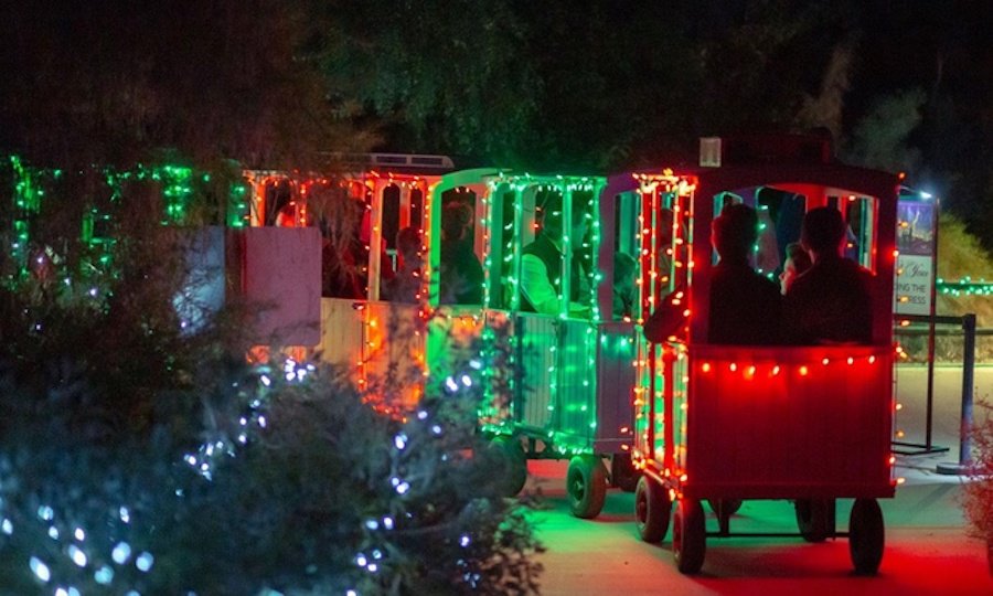 The Living Desert Zoo WildLights Discount Tickets: $8 - Any Tots