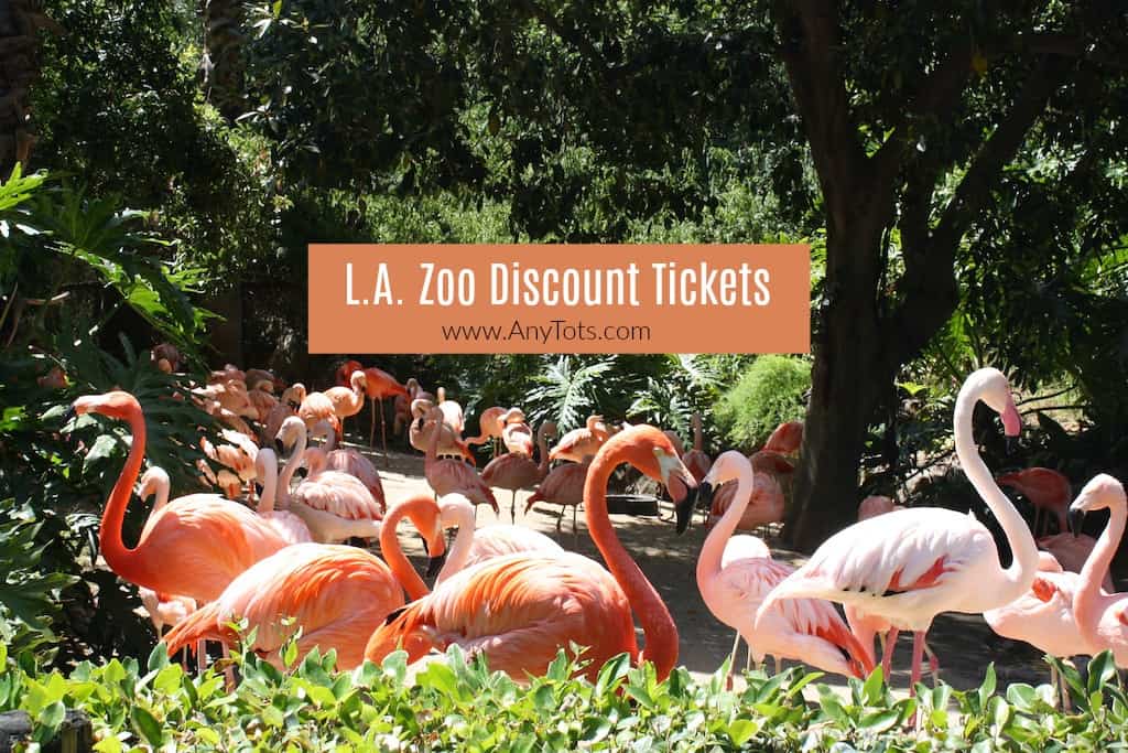 LA Zoo Discount Tickets 2019: $14.50 - Any Tots