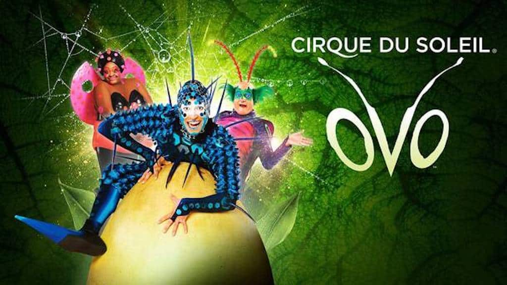 Cirque Du Soleil OVO Discount Tickets