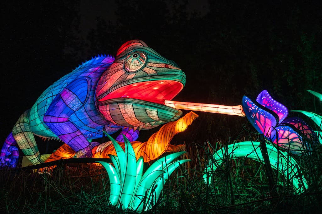 L.A. Zoo Lights Tickets discount
