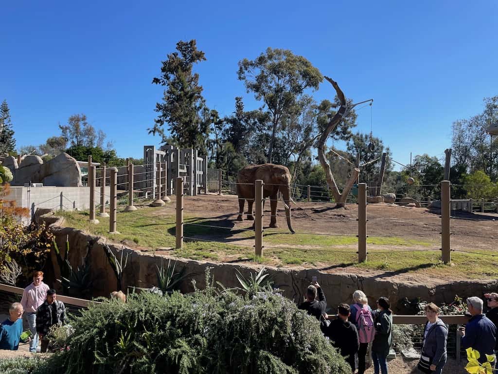 San Diego Zoo Must-See