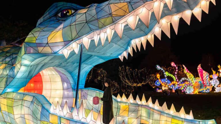 DC Winter Lantern Festival Discount Tickets