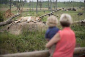Discount Tickets for Columbus Zoo
