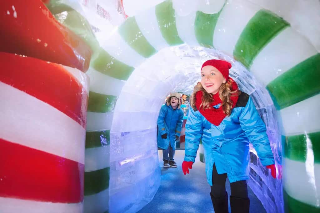 Gaylord Texan Ice Coupon Code
