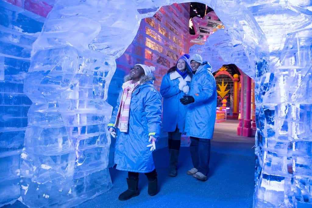 Ice Gaylord Rockies Discount Tickets