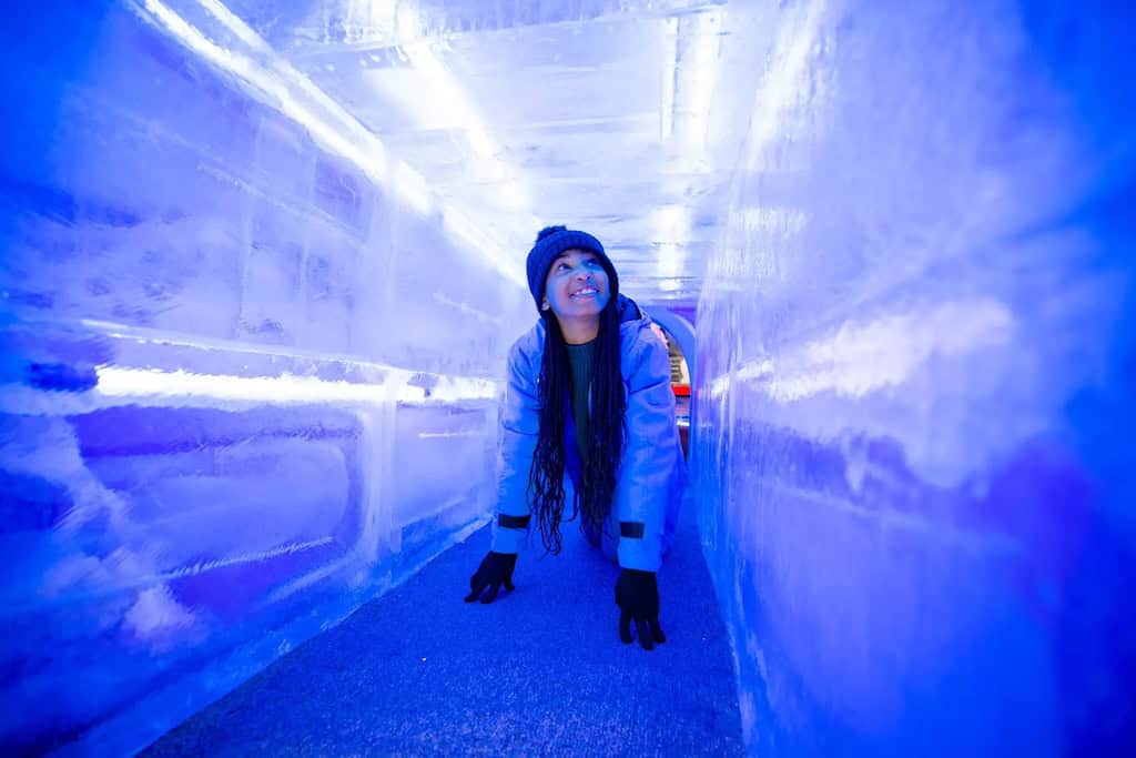 Gaylord ICE discount tickets