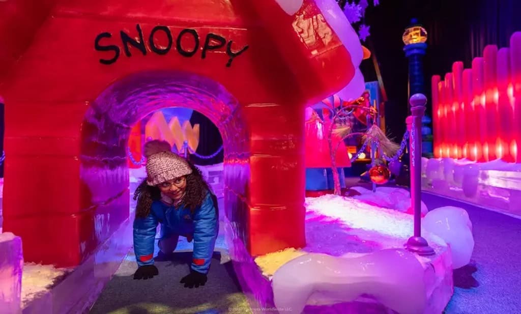 Ice Gaylord Pacific Discount tickets